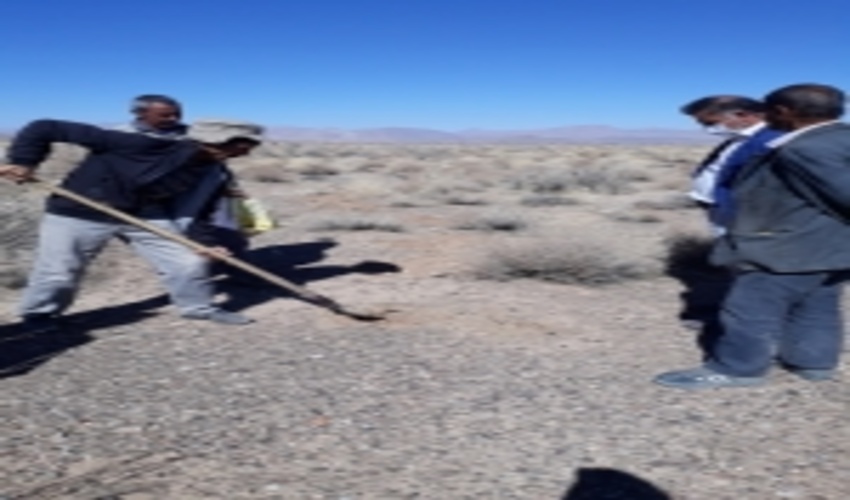 ايجاد مزرعه الگويي آنغوزه تلخ در محدوده طرح ترسيب كربن شهرستان خاتم 