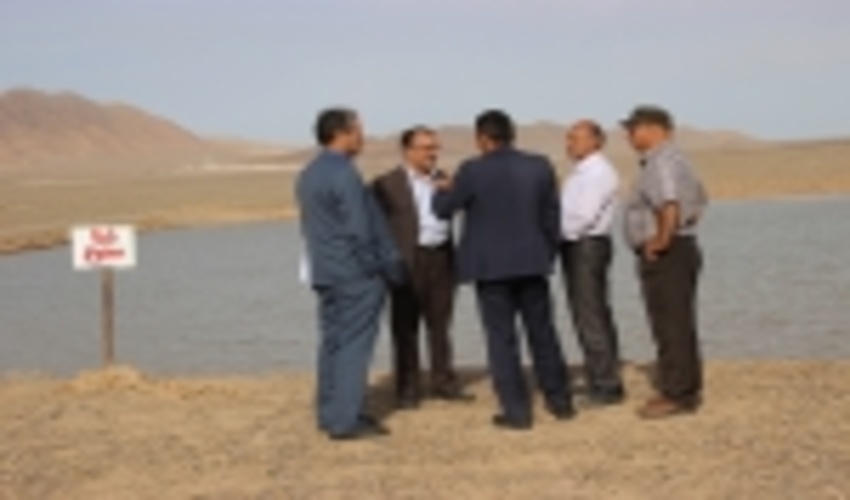 بازدید مدیرکل منابع طبیعی وآبخیزداری ومدیر کل بحران ا ز حوزه های آبخیز بخش ندوشن