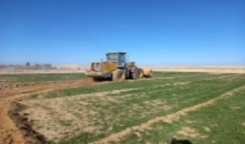 رفع تصرف 10097مترمربع از اراضی ملی درشهرستان ابرکوه