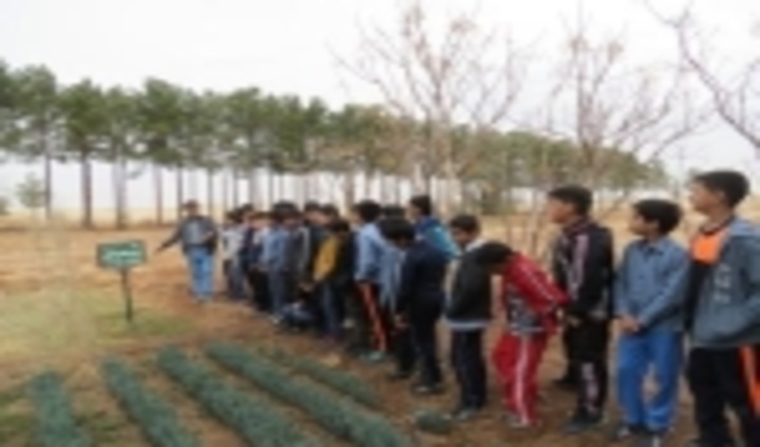 893 نفر از دانش آموزان شهر یزد از نهالستان بزرگ یزد بازدید نمودند.