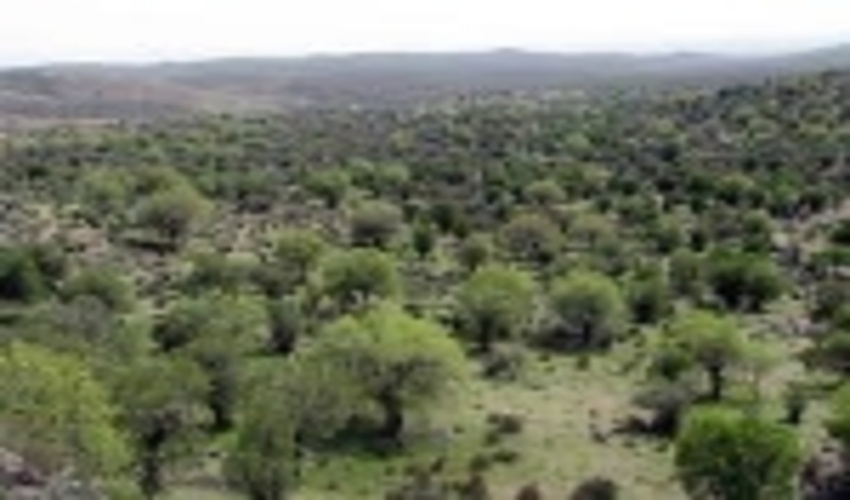 برگزاری دوره های آموزشی جنگلکاری مشارکتی و مدیریت منابع جنگلی در شهرستان اردکان