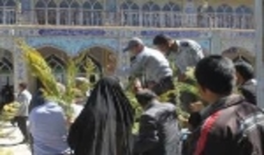 توزيع نهال رايگان به مردم دركناربرپايي نمازپرفض وبركت جمعه درشهرستان تفت برگزارشد.