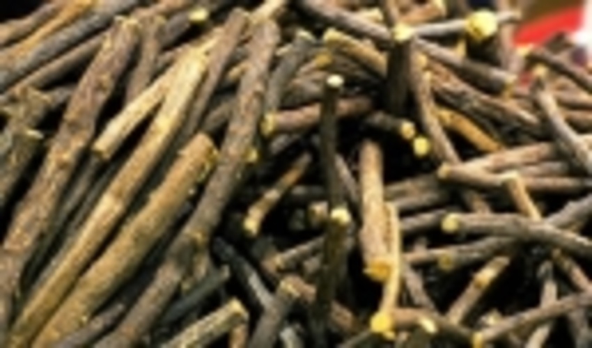 کشف وضبط یک تن ریشه  شیرین بیان درشهرستان ابرکوه