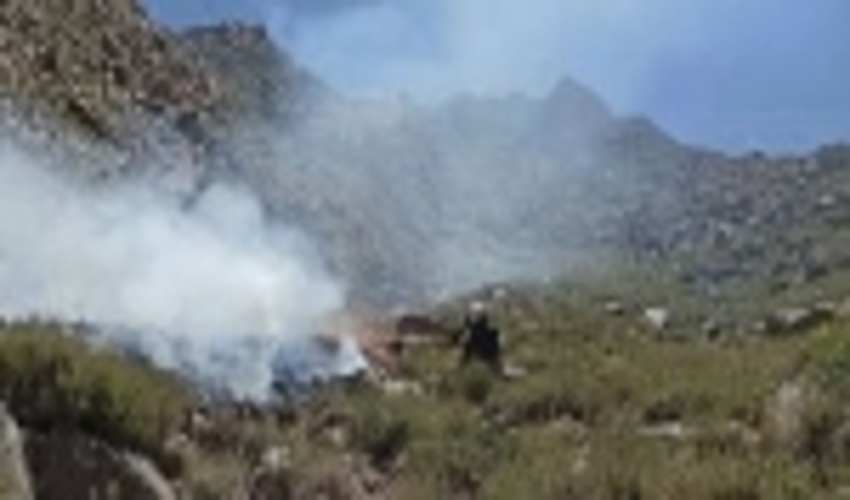 آتش سوزی در اراضی مرتعی سعید آباد از توابع شهرستان تفت