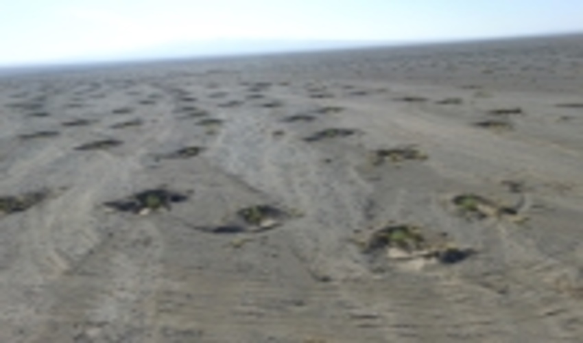 فعالیت های اجرایی در مرتع شتری ساغند شهرستان اردکان در سال 98