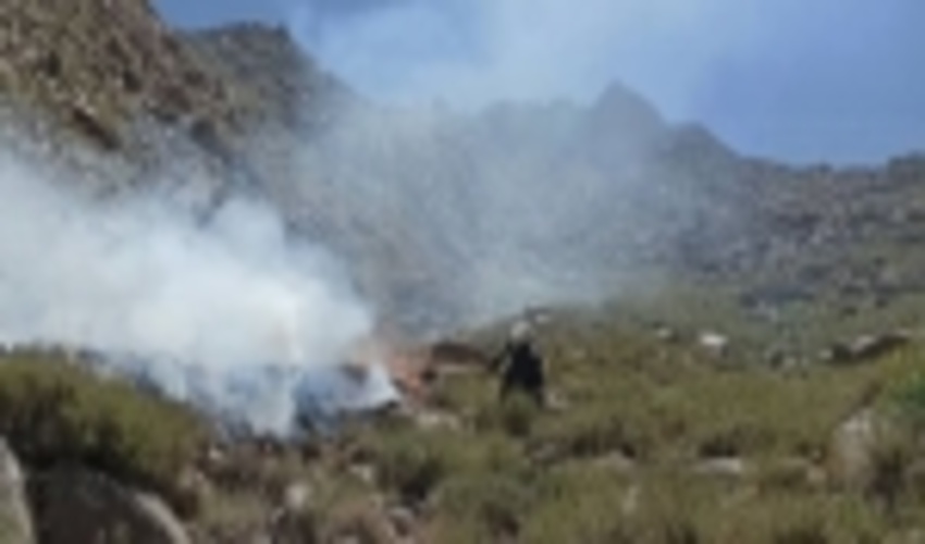 آتش سوزی در اراضی مرتعی تقی اباد  ده بالا از توابع شهرستان تفت