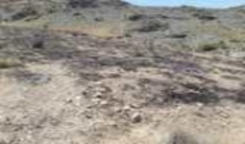  یک هکتار از مراتع  زراشک سوخت.