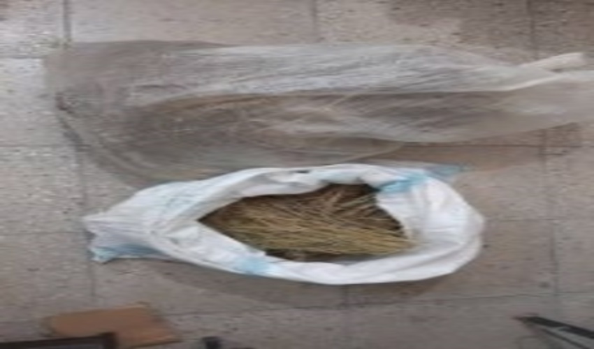 کشف و ضبط محموله زیره سیاه توسط مامورین یگان حفاظت شهرستان تفت