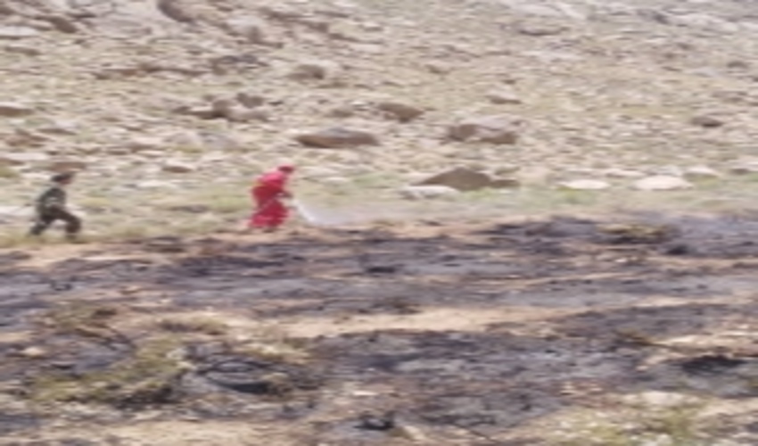 مراتعی که در آتش غفلت انسان ها می سوزند/این بار هم در ایام تعطیل مراتع منشاد طعمه حریق شد