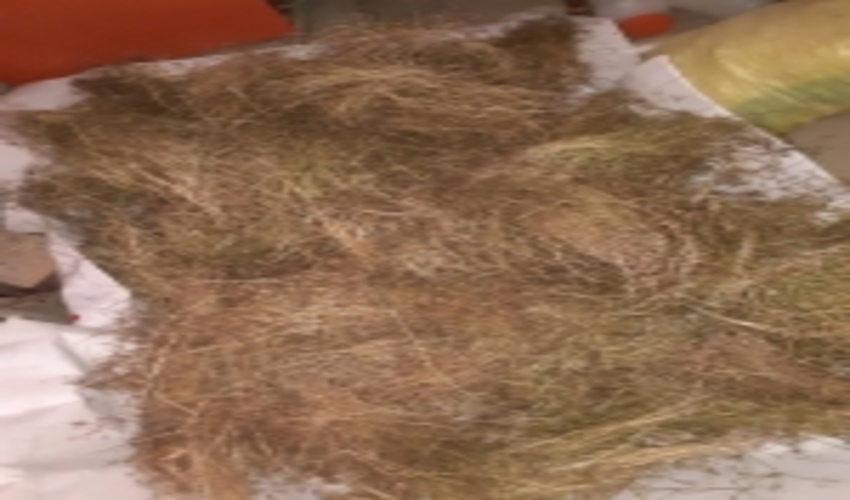 کشف و ضبط محموله محصولات فرعی مرتعی توسط یگان حفاظت منابع طبیعی مهریز در ایام تعطیل