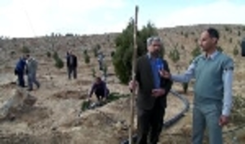 نهال كاري برفرازبام تفت انجام شد.