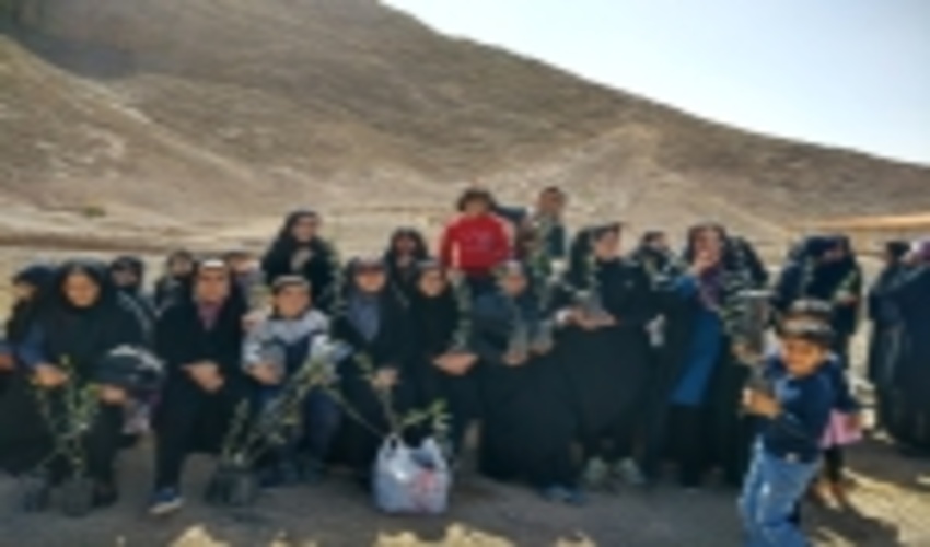 مراسم پیاده روی بانوان کارمند  شهرستان اردکان در محل پارک کوهستان این شهرستان برگزار گردید.