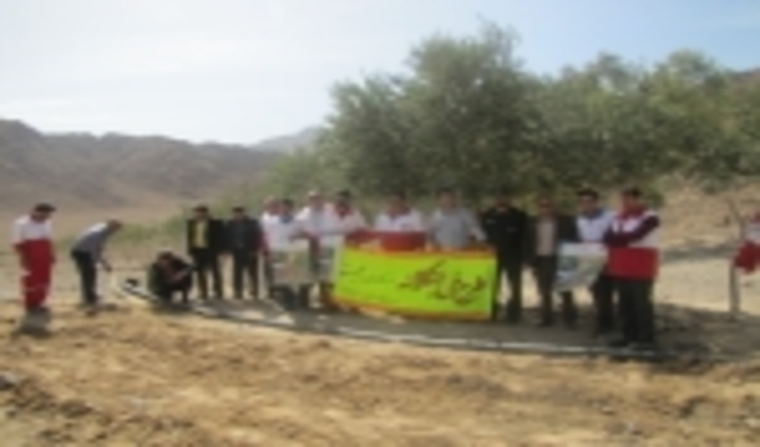 اجرای طرح جنگلانه درارتفاعات آب مک شهرستان ابرکوه