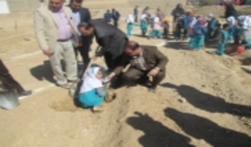 180 اصله نهال سرو به یادشهدا درمراسم جشن درختکاری ابرکوه غرس گردید