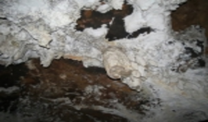  مدیر کل منابع طبیعی به همراه مدیر کل صنعت معدن و فرماندار میبدازغار طبیعی سرغون بازدید کردند.