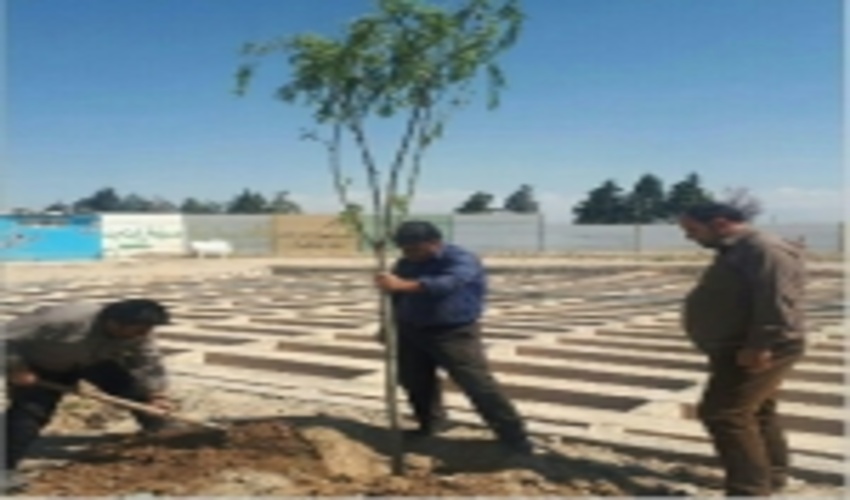 کاشت نهال  به یاد اموات شهرستان مهریز