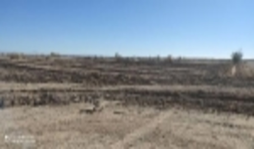 گزارش بازدید ازطرح احاله مدیریت وتوسعه فضای سبزایستگاه ربذه ابرکوه