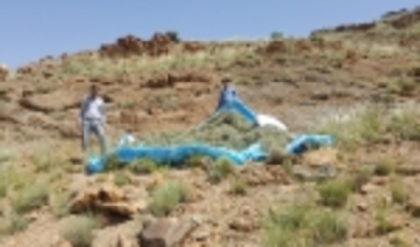 کشف و ضبط محموله آویشن با همکاری یگان حفاظت شهرستان اشکذر  