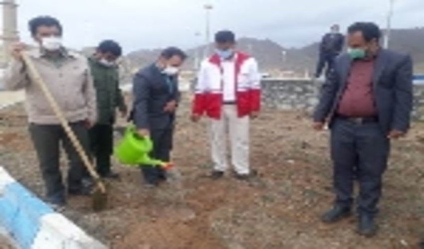 برگزاری مراسم درختکاری در امامزاده سید محمد بخش نیر شهرستان تفت