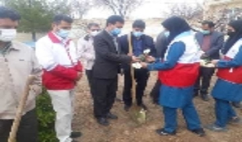 برگزاری مراسم درختکاری در مدرسه دخترانه بخش نیر شهرستان تفت