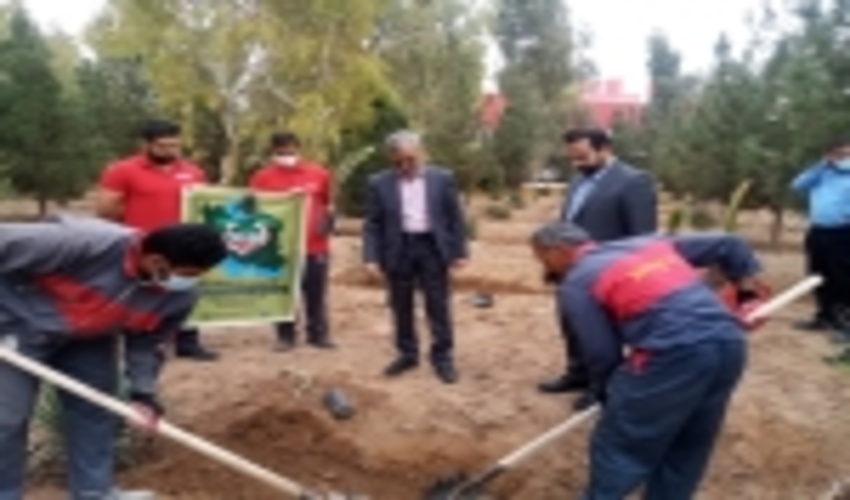 تقدیر از صنایع برتر شهرستان اشکذر در امر فضای سبز در هفته منابع طبیعی