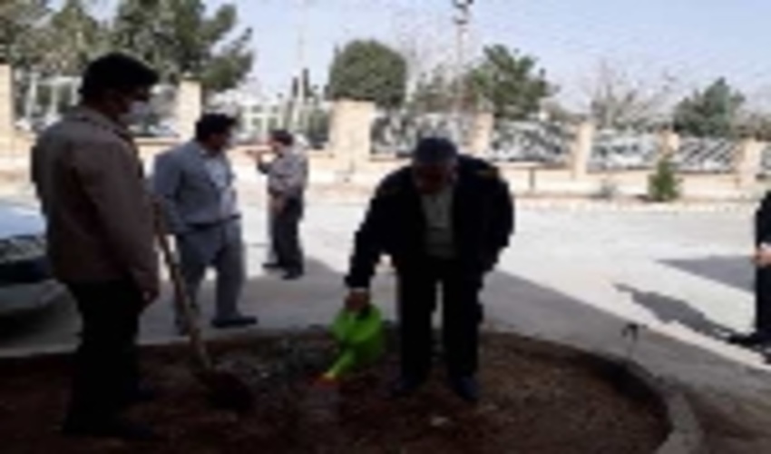 برگزاری مراسم درختکاری به مناسبت هفته منابع طبیعی و آبخیزداری در محوطه دادگستری شهرستان تفت