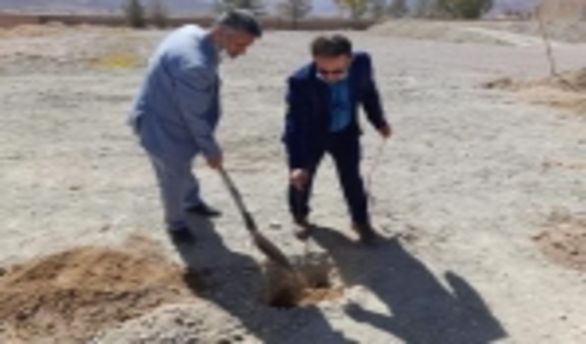کاشت نهال درمدرسه صفی آباد به مناسبت هفته منابع طبیعی درشهرستان ابرکوه
