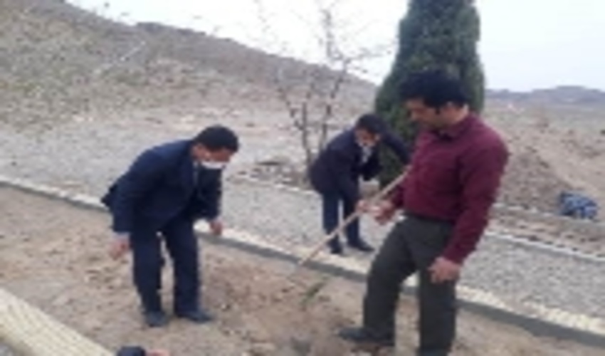 مراسم درختکاری به مناسبت هفته منابع طبیعی در دانشگاه آزاد اسلامی شهرستان تفت