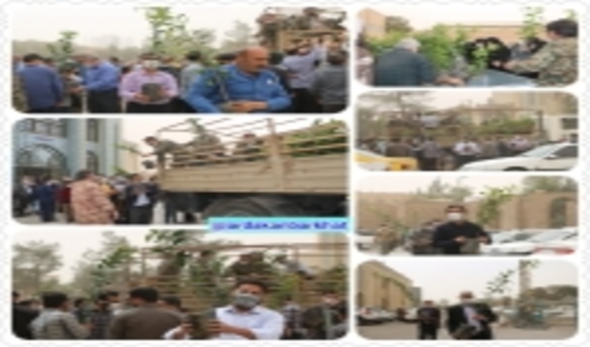 توزیع 1000 اصله نهال نارنج در روز ششم از هفته منابع طبیعی در شهرستان اردکان