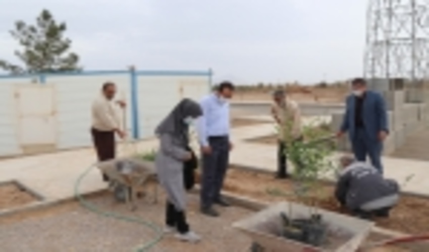 نهالکاری در روز هفتم از هفته منابع طبیعی در دانشگاه اردکان  