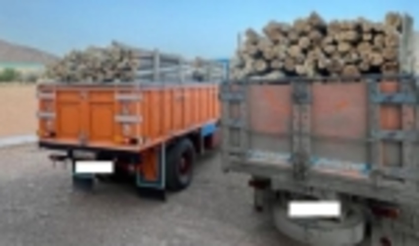 كشف 20 تن چوب قاچاق در بافق