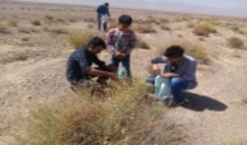 برگزاری اردوی جهادی نیروهای بسیجی با همکاری اداره منابع طبیعی اشکذر