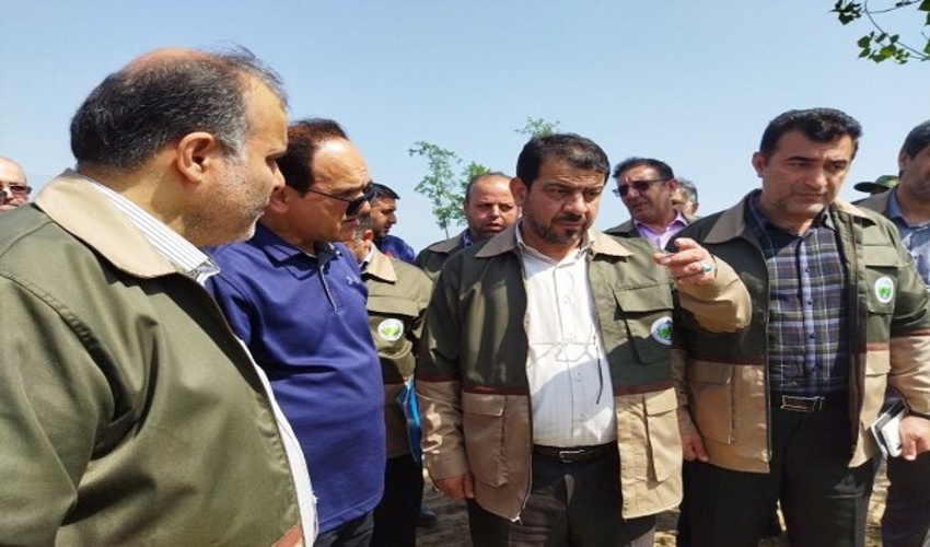 تأکید بر اجرای بهینه طرح‌های فنی حفاظتی / اشتغالزایی با زراعت چوب