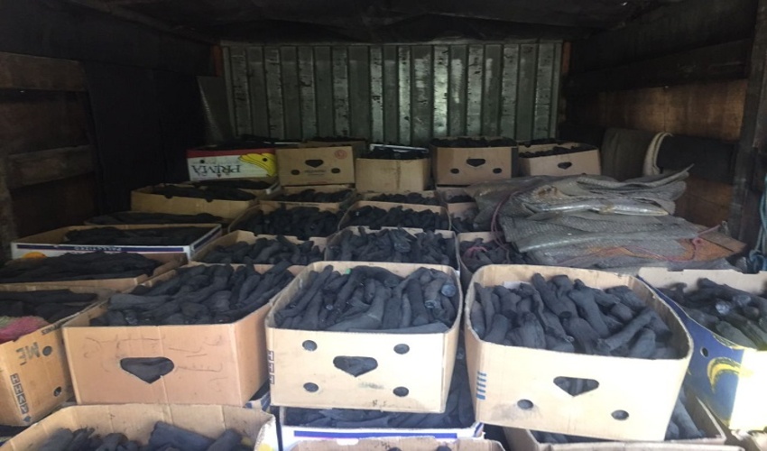 کشف و ضبط زغال 