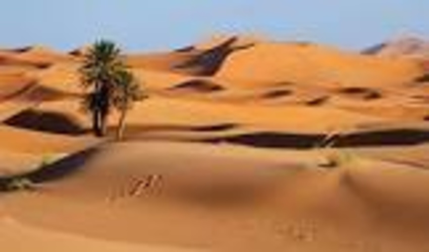 رییس سازمان منابع طبیعی : بیش از هشت میلیون هکتار از عرصه های کشور تثبیت شد