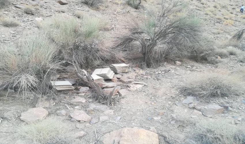 دستگیری و بازداشت یک‌نفر بهره بردار غیر مجاز آنغوزه