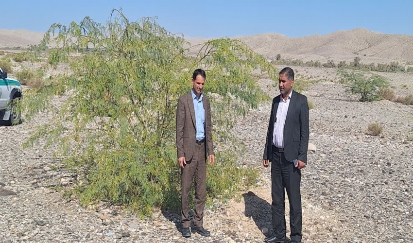 بازدید دانش آموزان دختر ناحیه 1 از نهالستان بزرگ یزد