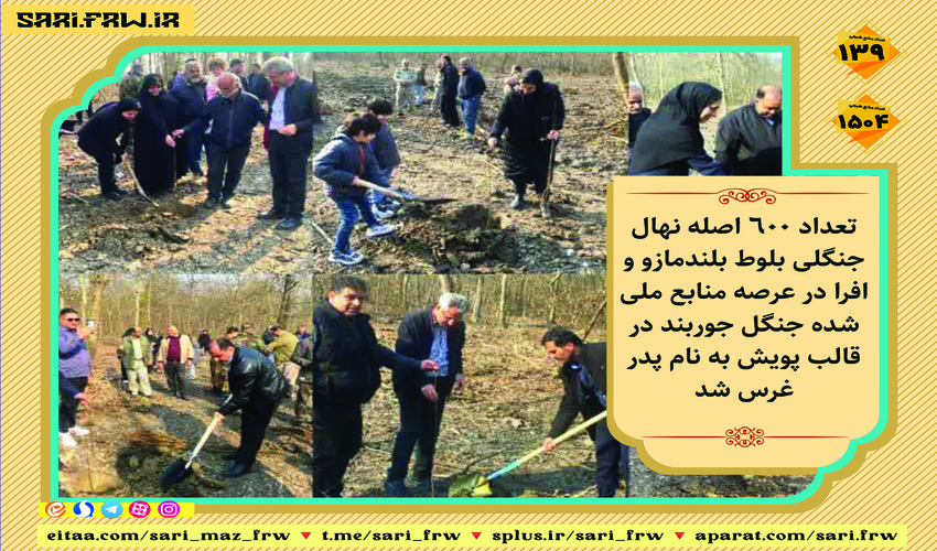 آغاز توزیع نهال  در شهرستان بهاباد