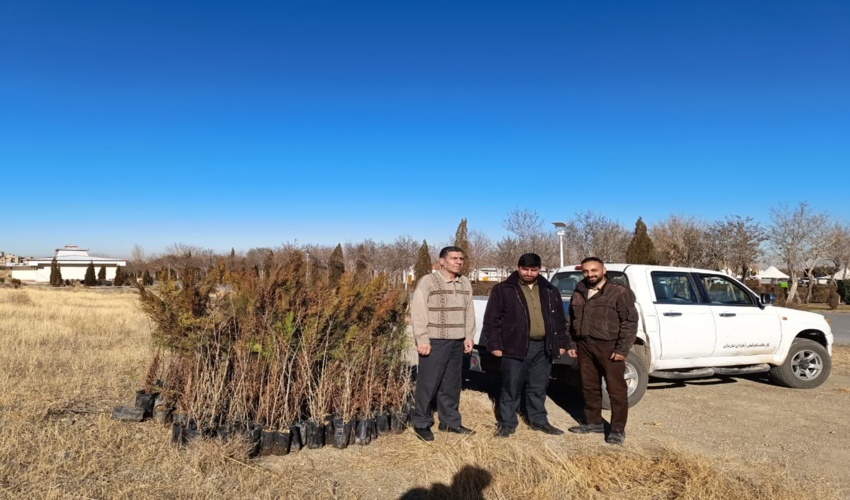 توانمندسازی جوامع محلی اولویت اصلی پروژه‌های منابع طبیعی یزد است