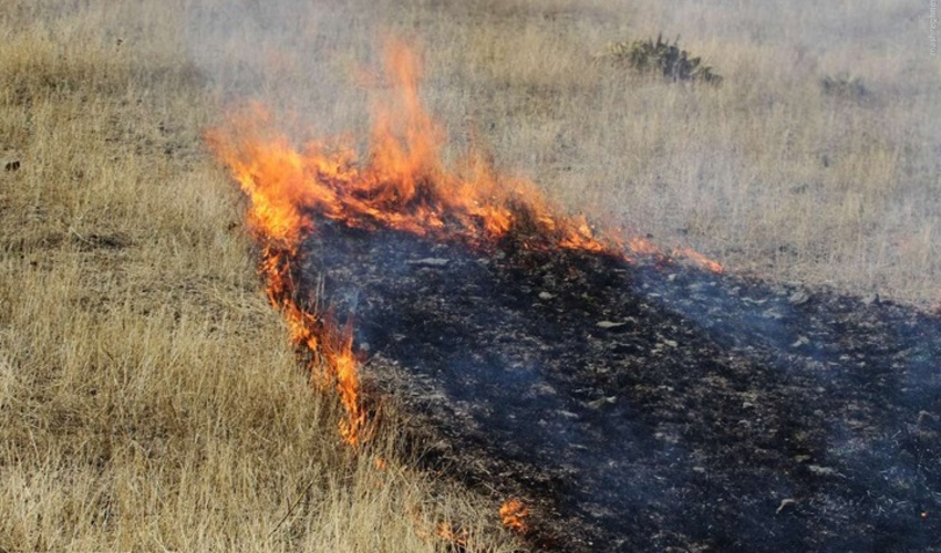  برگزاری مسابقه نهالکاری جوانان عضو جمعیت هلال احمر شهرستان مهریز  