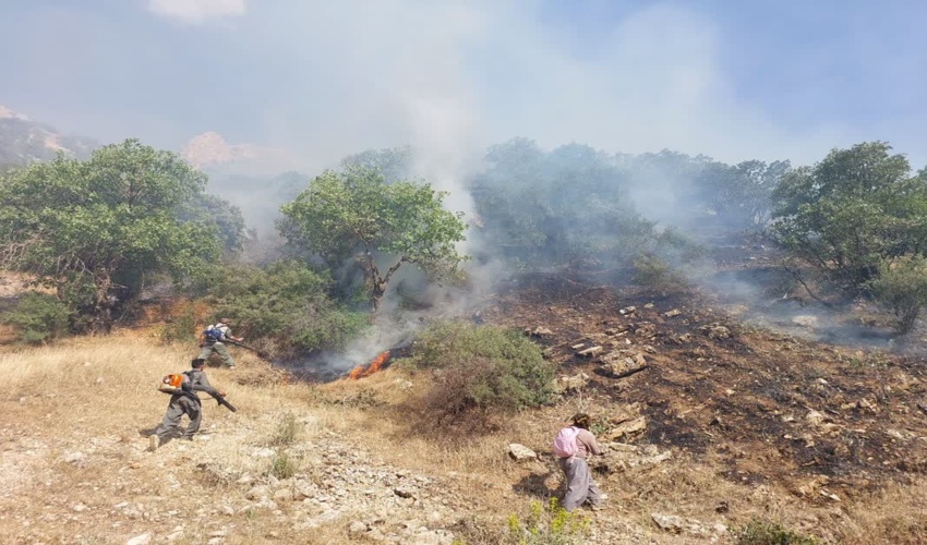 اجرای طرح ملی جنگلانه در شهرستان بهاباد
