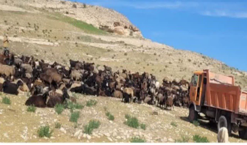 بازدید فرمانده یگان حفاظت اداره کل منابع طبیعی وآبخیزداری از اداره منابع طبیعی وآبخیزداری شهرستان اشکذر