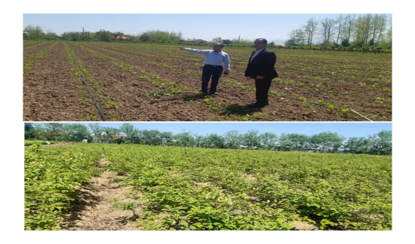 راه اندازی ایستگاه هواشناسی طاحونه اشکذر