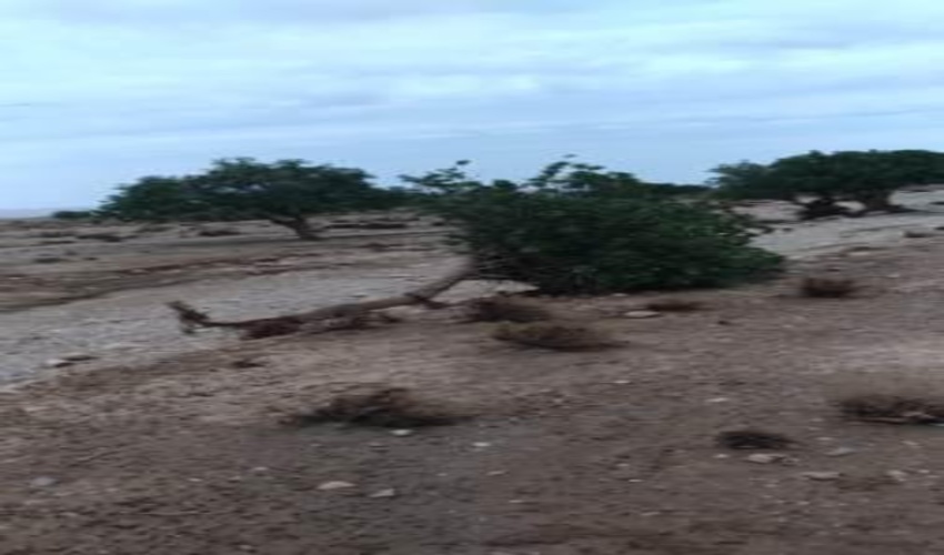 آبگیری مناطق نهالکاری شهرستان خاتم