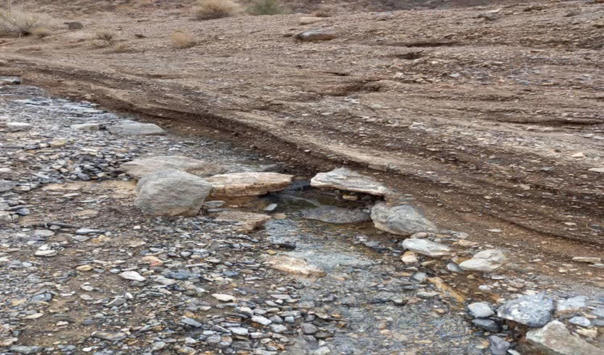 خسارت سیل به پوشش گیاهی مراتع شهرستان ابرکوه