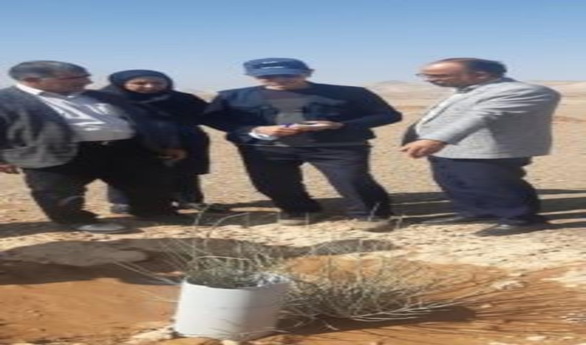 بازدیدکارشناسان ستادی سازمان واستان ازپروژه های جنگلکاری شهرستان خاتم