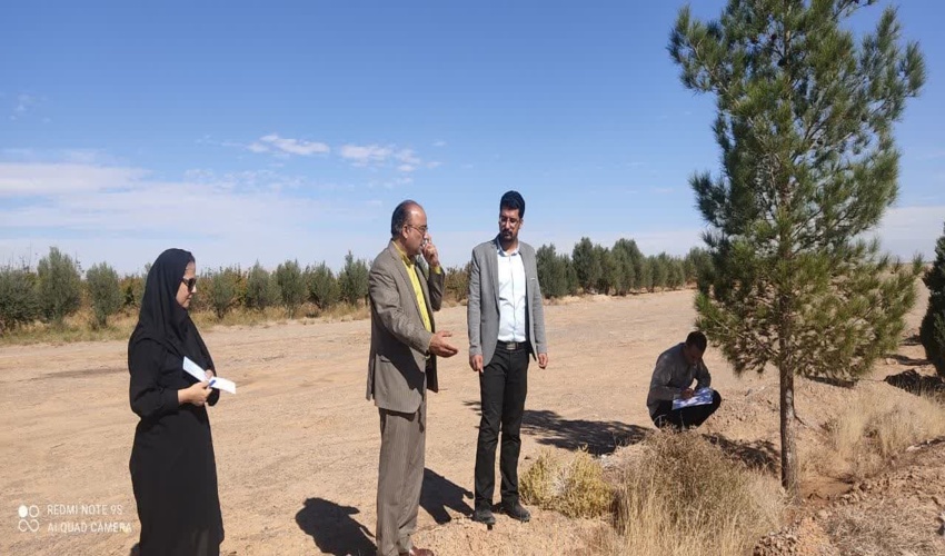 بازدید کارشناسان جنگل اداره کل منابع طبیعی استان ازپارکها وفضای سبز شهرستان ابرکوه