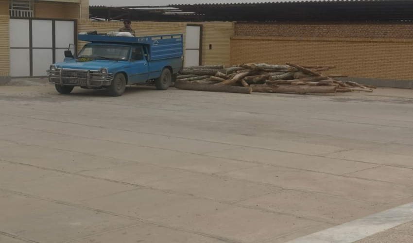 کشف و ضبط محموله چوب قاچاق  در شهرستان ابرکوه