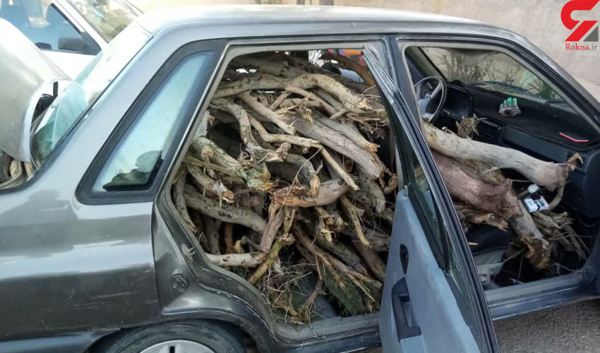 بازدید دانشجویان دانشگاه اردکان از پروژه بند خاکی بخش خرانق شهرستان اردکان