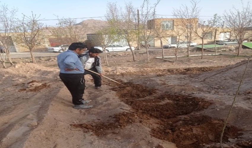 پويش بذركاري بادام با شعار نذر سبز مادري در شهرستان بافق